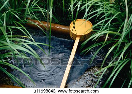 Stock Image - Hot spring surrounded by leaves. Fotosearch