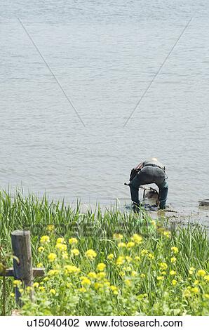 Stock Image - Man fishing for clams. Fotosearch