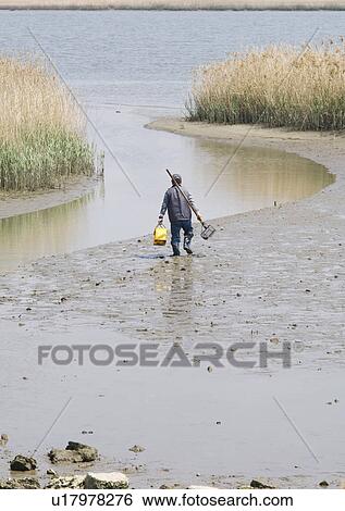 Stock Photograph - Man fishing for clams. Fotosearch