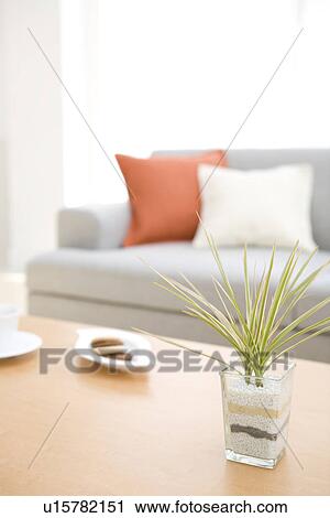 Stock Image - Plant in vase in living room. Fotosearch