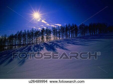 Snowy field and trees silhouetted by sunlight View Large Photo Image Picture - Snowy field and trees silhouetted by sunlight. Fotosearch