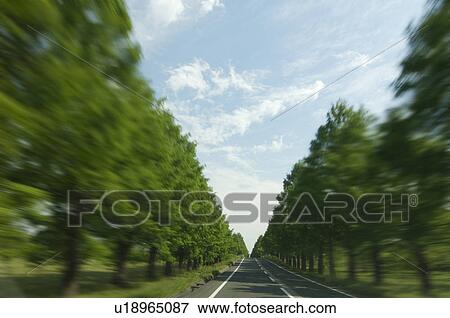 Stock Photo - Treelined country road. Fotosearch