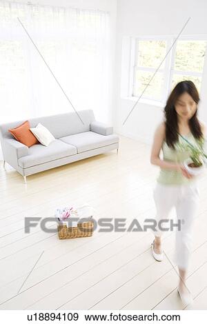 Young woman holding potted plant in living room View Large Photo Image Stock Photo - Young woman holding potted plant in living room. Fotosearch