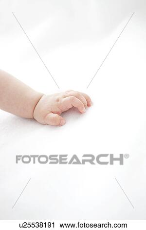 A baby's hand View Large Photo Image Stock Image - A baby's hand. Fotosearch