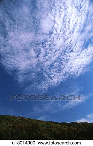 Autumn sky View Large Photo Image Stock Image - Autumn sky. Fotosearch