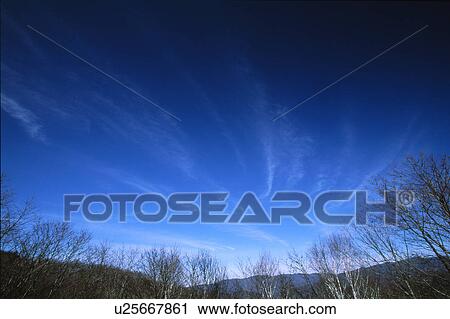 Bare trees and blue sky View Large Photo Image Stock Image - Bare trees and blue sky. Fotosearch