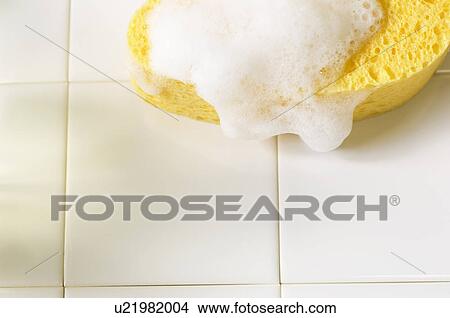 Bath sponge with soap suds View Large Photo Image Picture - Bath sponge with soap suds. Fotosearch