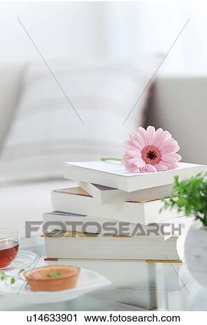 Books and a pink daisy on a living room table View Large Photo Image Stock Image - Books and a pink daisy on a living room table. Fotosearch