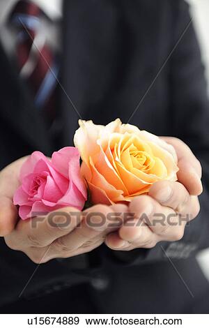 Businessman holding roses View Large Photo Image Stock Photo - Businessman holding roses. Fotosearch