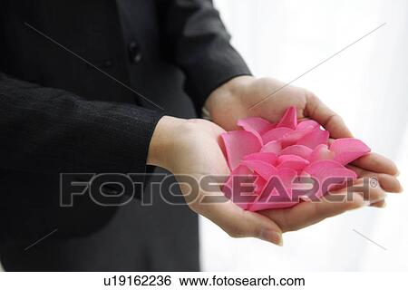 Stock Photograph - Businesswoman holding pink petals. Fotosearch