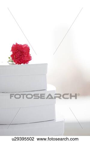 Stock Image - Carnation on a stack of heart shaped gift boxes. Fotosearch