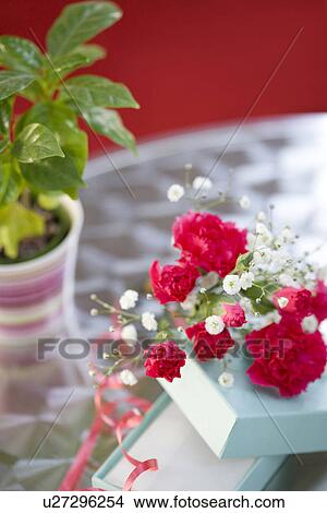 Carnations and a gift box View Large Photo Image Picture - Carnations and a gift box. Fotosearch
