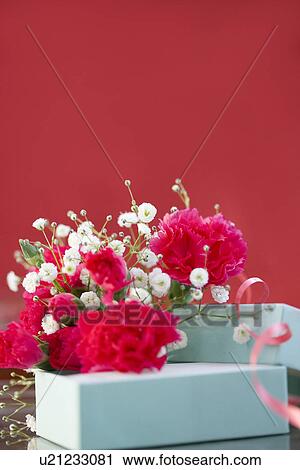 Carnations and a gift box View Large Photo Image Stock Image - Carnations and a gift box. Fotosearch