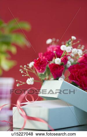 Stock Photo - Carnations and a gift box. Fotosearch