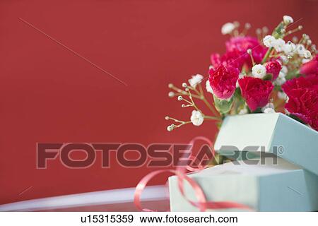 Stock Photo - Carnations and a gift box. Fotosearch