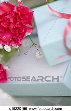 Stock Photography - Carnations and a gift box. Fotosearch