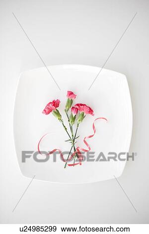 Stock Photo - Carnations and ribbons on a plate. Fotosearch