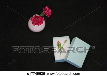 Stock Photograph - Carnations in a vase and a flower in a gift box. Fotosearch