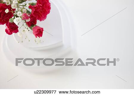 Carnations on a stack of heart shaped gift boxes View Large Photo Image Stock Photo - Carnations on a stack of heart shaped gift boxes. Fotosearch