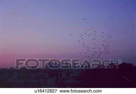 Cityscape at dusk View Large Photo Image Stock Photo - Cityscape at dusk. Fotosearch