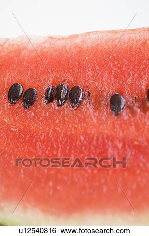 Close up of a watermelon slice View Large Photo Image Stock Photograph - Close up of a watermelon slice. Fotosearch