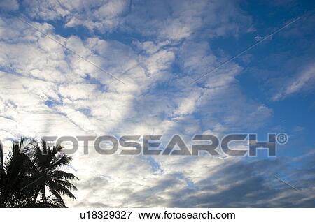 Stock Photo - Clouds in blue sky with palm trees. Fotosearch