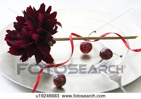 Stock Image - Dahlia and cherries on a plate. Fotosearch
