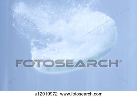 Effervescent tablet dissolving in water View Large Photo Image Stock Image - Effervescent tablet dissolving in water. Fotosearch