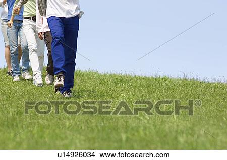 Picture - Five young people walking on grass. Fotosearch