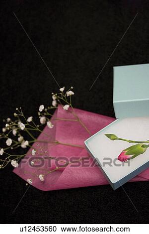 Stock Image - Flower in a gift box and baby's breath. Fotosearch