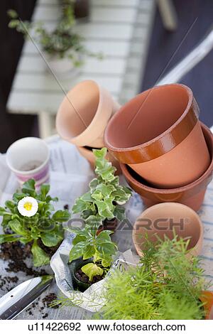 Stock Image - Flower pots and plants. Fotosearch