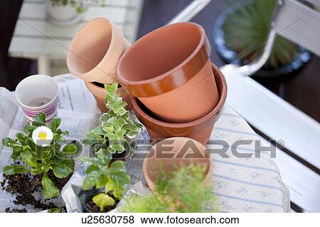 Stock Photo - Flower pots and plants. Fotosearch
