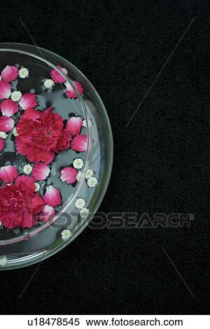 Stock Photography - Flowers and petals floating in a bowl of water. Fotosearch