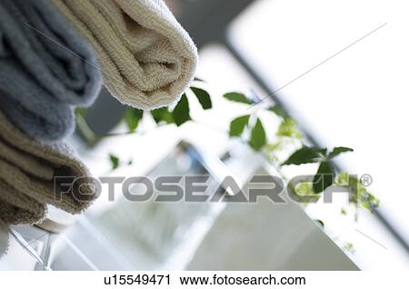 Folded towels and a potted plant View Large Photo Image Stock Image - Folded towels and a potted plant. Fotosearch