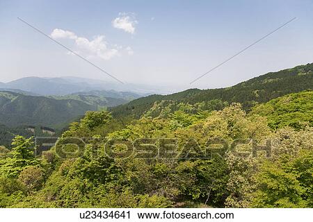 Forest covered mountains View Large Photo Image Stock Image - Forest covered mountains. Fotosearch