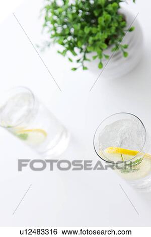 Stock Photograph - Glasses of soda water and a potted plant. Fotosearch