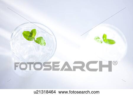 Picture - Glasses of water with mint leaves. Fotosearch