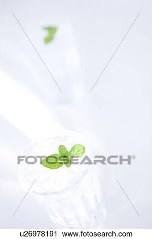 Glasses of water with mint leaves View Large Photo Image Stock Image - Glasses of water with mint leaves. Fotosearch