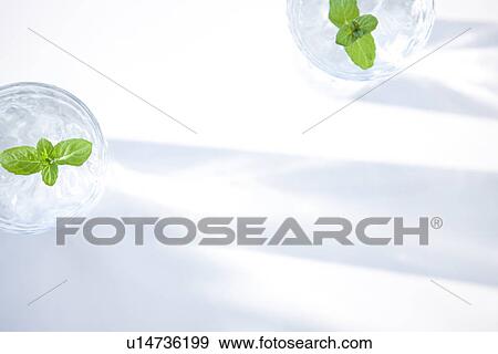 Stock Photo - Glasses of water with mint leaves. Fotosearch