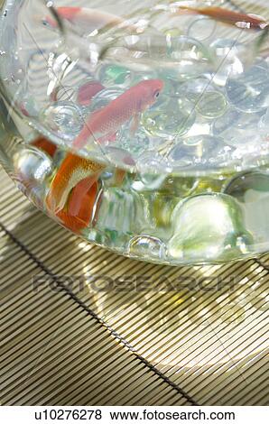 Stock Photo - Goldfish in a fishbowl on a tatami mat. Fotosearch