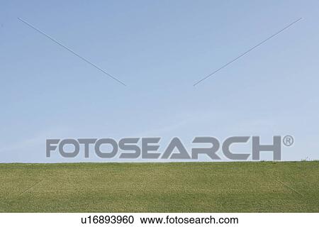Stock Image - Grassy field. Fotosearch
