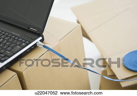 Laptop connected to a LAN cable View Large Photo Image Stock Image - Laptop connected to a LAN cable. Fotosearch