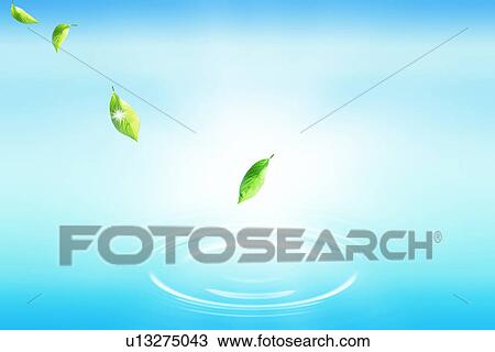 Leaves falling onto water View Large Photo Image Stock Image - Leaves falling onto water. Fotosearch