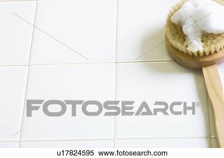 Stock Photography - Loofah with soap suds. Fotosearch