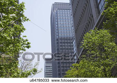 Stock Image - Office buildings and trees. Fotosearch