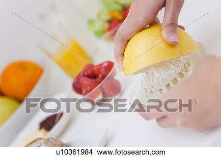 Person juicing grapefruit View Large Photo Image Picture - Person juicing grapefruit. Fotosearch