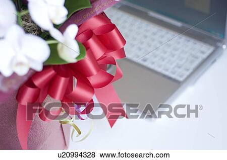 Stock Photo - Phalaenopsis and a notebook PC. Fotosearch