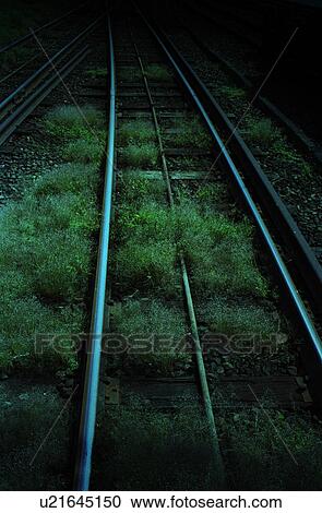 Stock Image - Railroad track at night. Fotosearch
