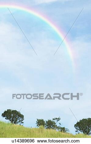 Rainbow over field and trees View Large Photo Image Stock Photograph - Rainbow over field and trees. Fotosearch