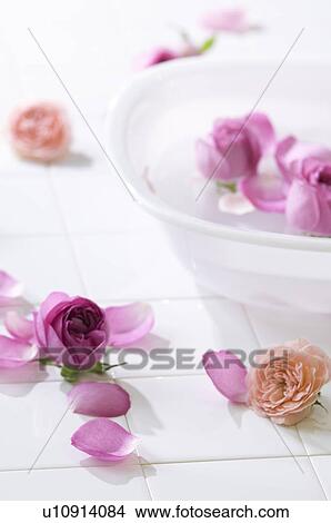 Picture - Rose petals floating in a washtub. Fotosearch